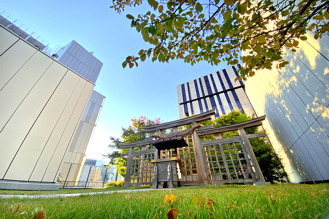 A “Shrine in the Sky,” where you can rest and take in the refreshing air